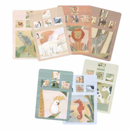 Familien-Quartett Tiere